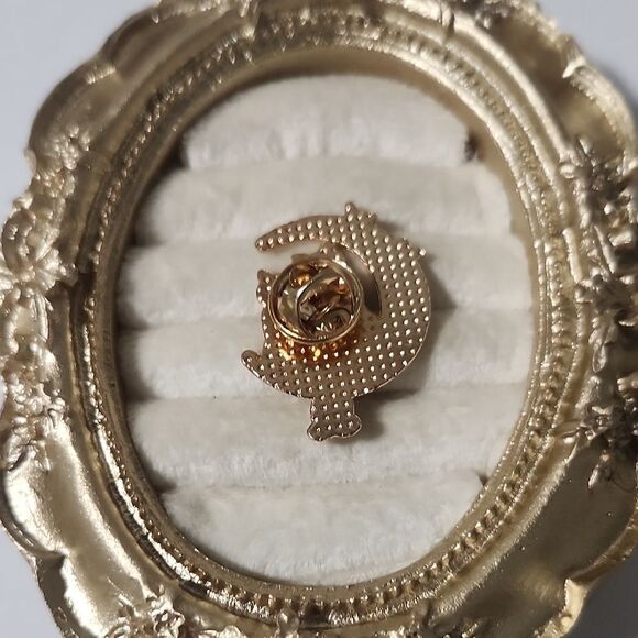 Gold and Black Cat Moon pin - Picture 4 of 5